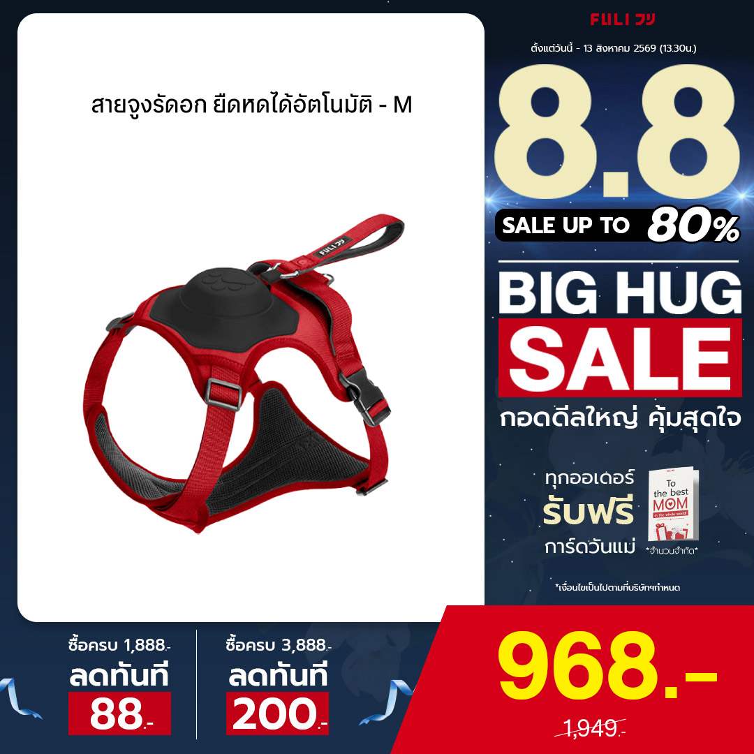 สายจูงรัดอก ยืดหดได้อัตโนมัติ - M | 2in1 Pet Harness with Built-In Leash - M