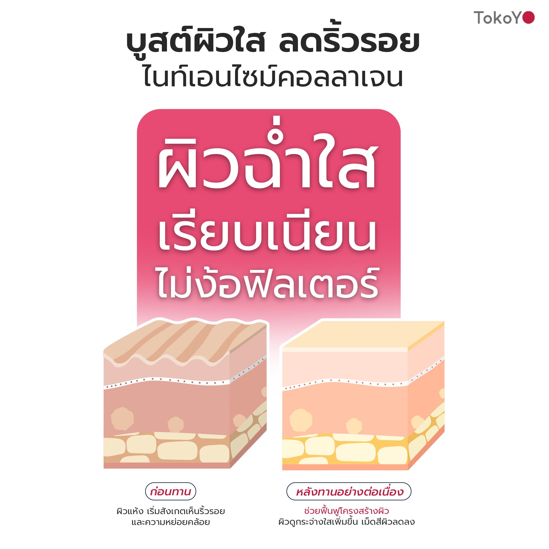 [ซื้อ 5 แถม 5] Tokoyo Night Ex Plus [Burner] & [Beauty] | 30 แคปซูล*10 - รวม 300 แคปซูล | รับฟรี!  แอสตาแซนธิน พลัส 24 แคปซูล 2 กล่อง
