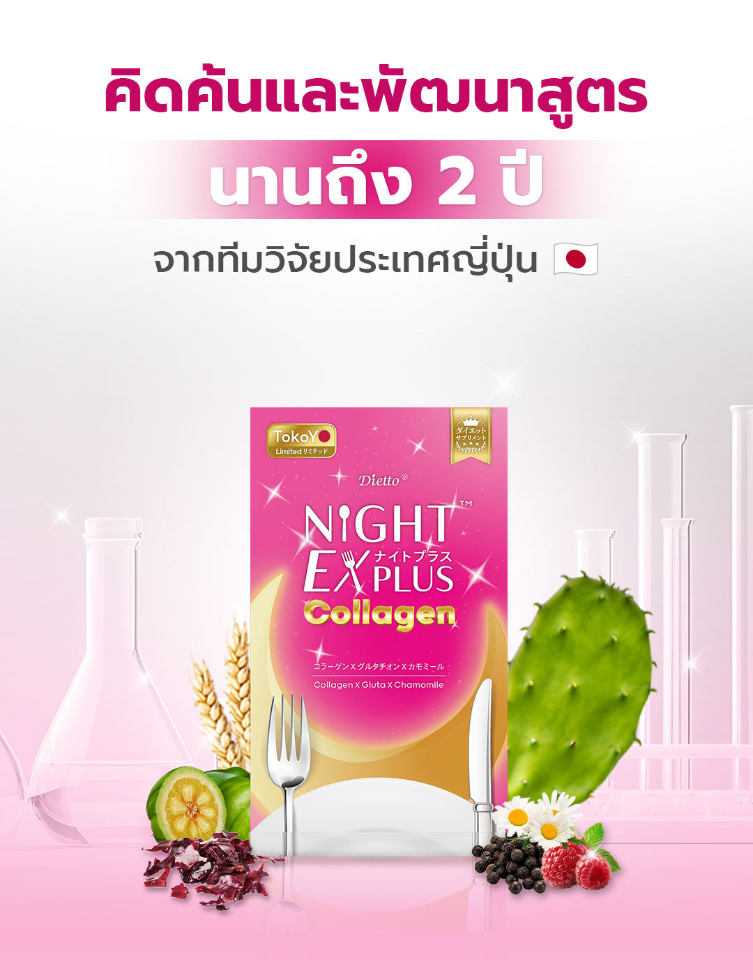 [2 กล่อง] สูตรใหม่! Dietto Night Ex Plus Collagen | ไดอะโตะ ไนท์ อีเอ็กซ์ พลัส คอลลาเจน  (ตรา โทโกโยะ) 10 แคปซูล | ダイエット ナイトEXプラス コラーゲン 10錠入り - 2 กล่อง รวม 20 แคปซูล