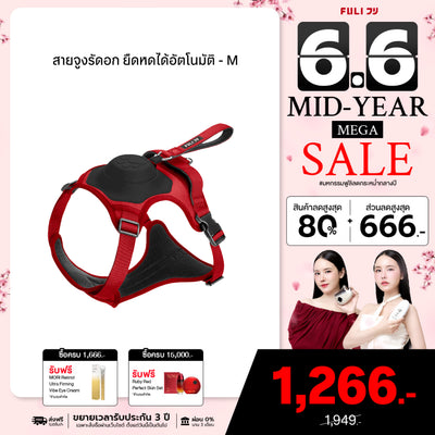 สายจูงรัดอก ยืดหดได้อัตโนมัติ - M | 2in1 Pet Harness with Built-In Leash  - M