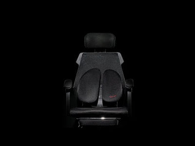 พนักพิงหลังเพื่อสุขภาพ - ดำ | FULI 8D UltraErgoBack - Black